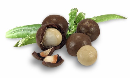 Macadamia Nuts